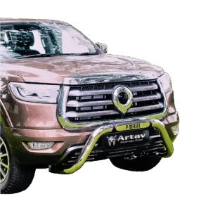 GWM P-Series Nudge Bar Stainless 72056T